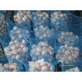 2021 Promotional New Crop High Quality Natural Normal White Fresh Garlic